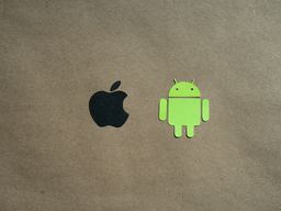 Android, nebo iOS?